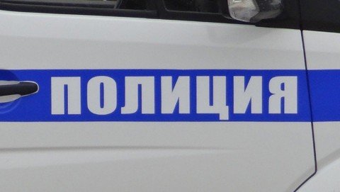 В Железногорске полицейские задержали подозреваемого в краже с дачного участка